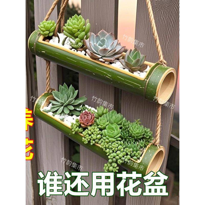 挂式花盆新款创意多口阳台客厅室内围墙庭院多肉养花种竹筒