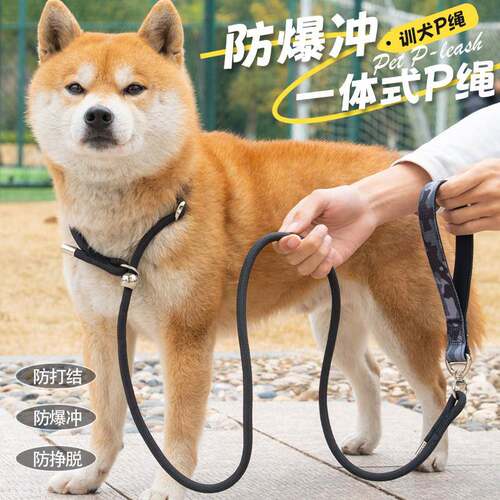 专业训犬p绳狗狗赛级p链牵引绳中大中小型犬防爆冲防打结外出遛狗