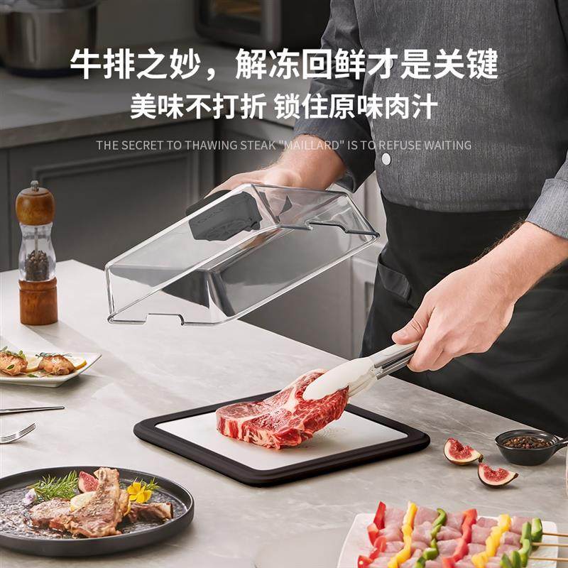 德国解冻器极速回鲜厨房食材快速解冻神器家用导热板化冻除菌