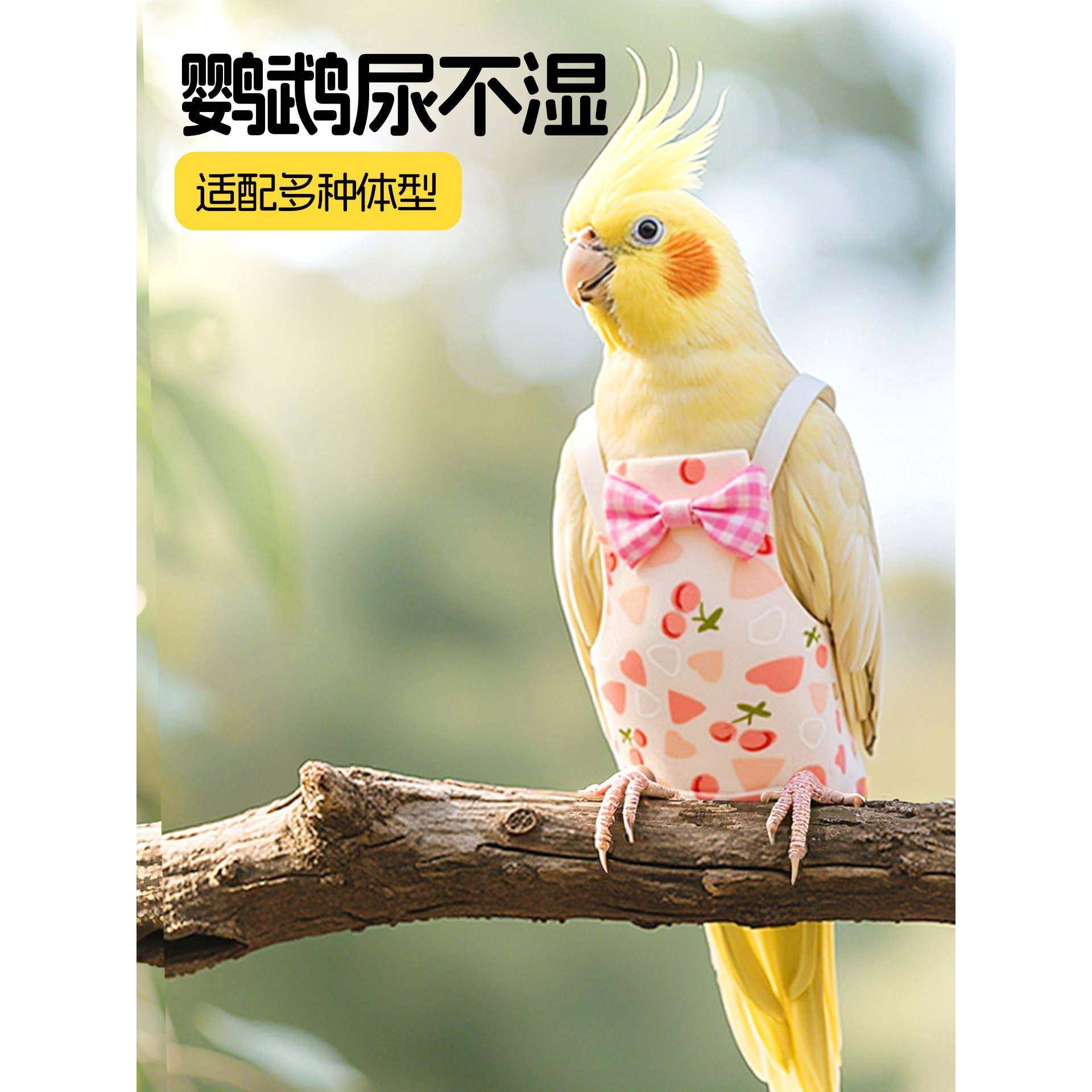 鹦鹉屎兜牡丹虎皮尿不湿玄凤便兜小鸟专用小太阳大容量拉屎神器,宠物/宠物食品及用品,鸟禽服饰,淘宝优惠券,粉丝福利购,淘宝优惠卷