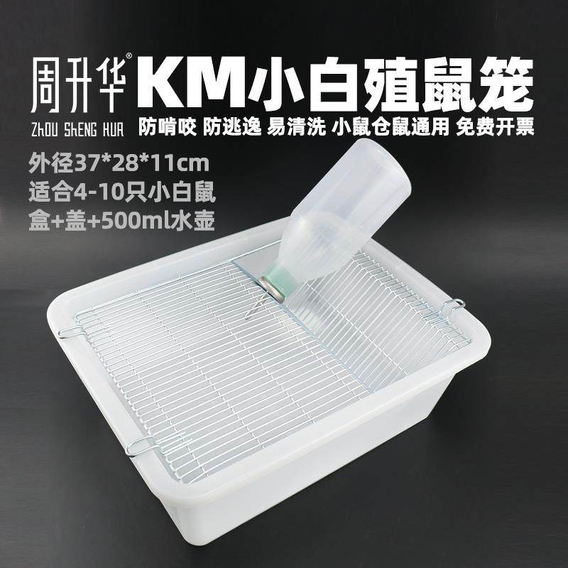 大鼠笼笼笼小鼠养群饲养老