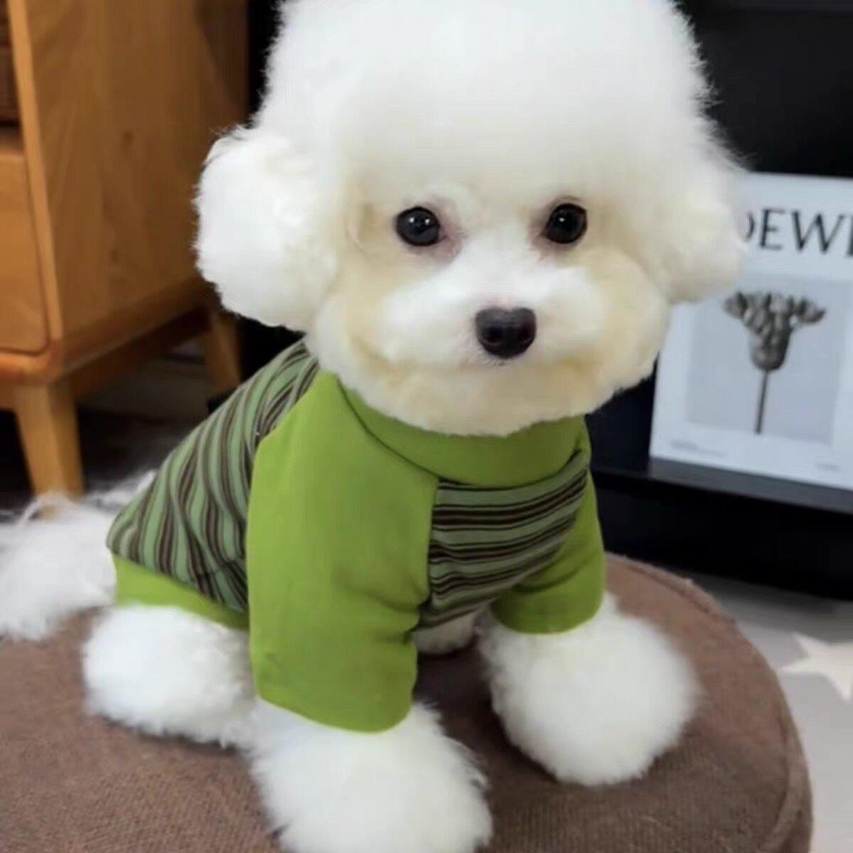 狗狗衣服小型犬宠物春秋款可爱卫衣泰迪比熊博美可牵引猫咪春秋装