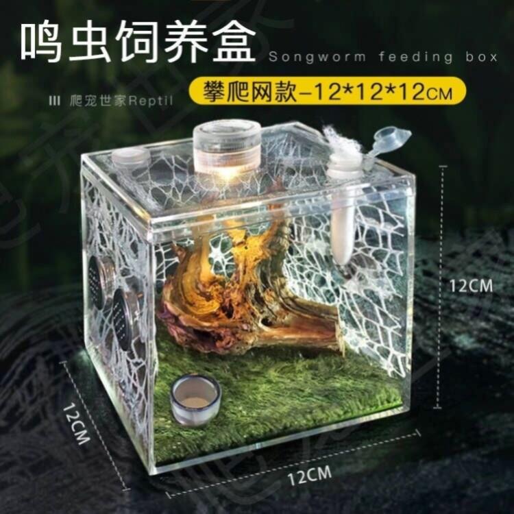 蝈蝈笼子刺花螳螂盒蛐蛐蚂蚱扎嘴树蛙宠物别高透明鸣虫饲养盒墅