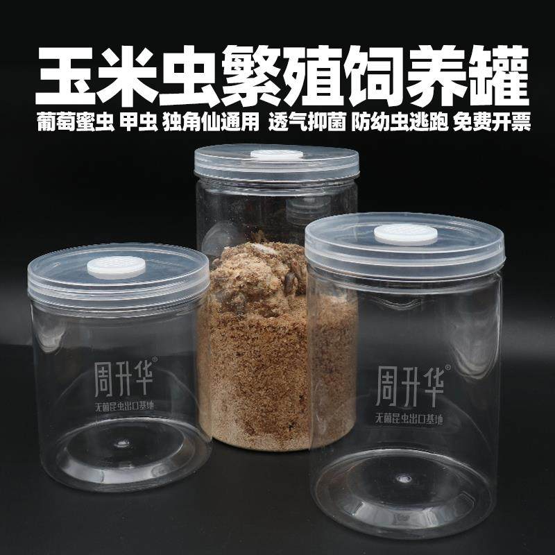 玉米虫果蝇饲养罐培养器皿
