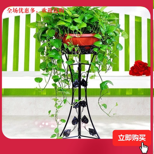 大型立体花架价格 大型立体花架图片 星期三