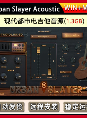 现代都市电吉他音源StudioLinked Urban Slayer Acoustic WIN&MAC