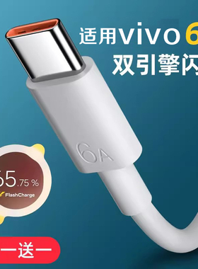 Type-c数据线适用vivoiQOO s12双引擎闪充 Nex3s快充s10手机X60Pro加长50快充X27充电器线Y50平口2米tpyec70