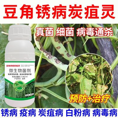豆角专用药豆角专用杀菌剂叶枯病白粉病疫病豆角病锈病炭疽病全治