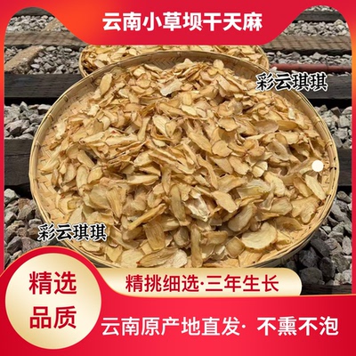 云南小草坝天麻林下仿野生长