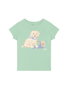 Polo Ralph Lauren T恤 revolve小众新款