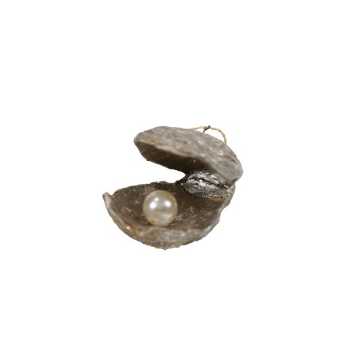 Cody Foster & Co OYSTER WITH PEARL 摆饰品  Multi 秋冬新品RE