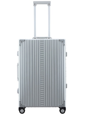 Aleon TRAVELER CHECKED 公文包 金属银色REVOLVE小众新款