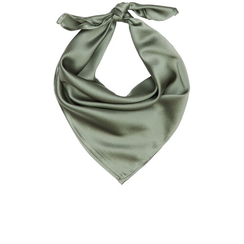 DONNI. x REVOLVE The Silk Scarf  Sage - 鼠尾草绿 秋冬新品RE