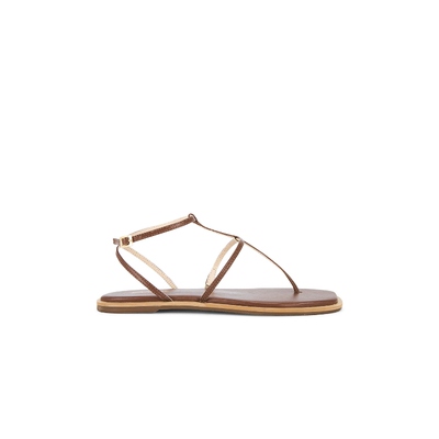 Kaanas Aisha Strappy Gladiator Sandal 棕黄色REVOLVE新款女鞋