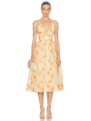 ASTR the Label JANNA 连衣裙 26夏季新品 revolve小众新款