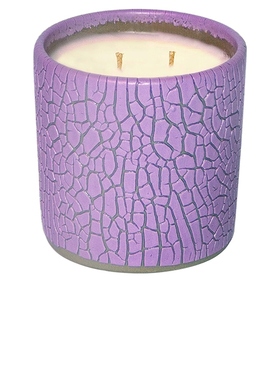 Houseplant CRACKLE 蜡烛 紫色REVOLVE小众新款