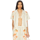 黄色衬衫 REVOLVE小众新款 Porte 春季 新品