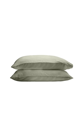 Ettitude Standard Cleanbamboo Sateen+ Pillowcrevolve小众新款