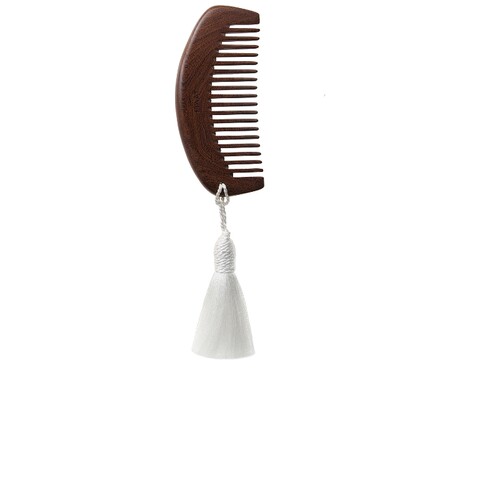 ETAAT JOON THE MINI COMB 梳子  revolve小众新款