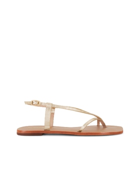 Kaanas CRISTOBAL 凉鞋 金属金色 女款REVOLVE小众新