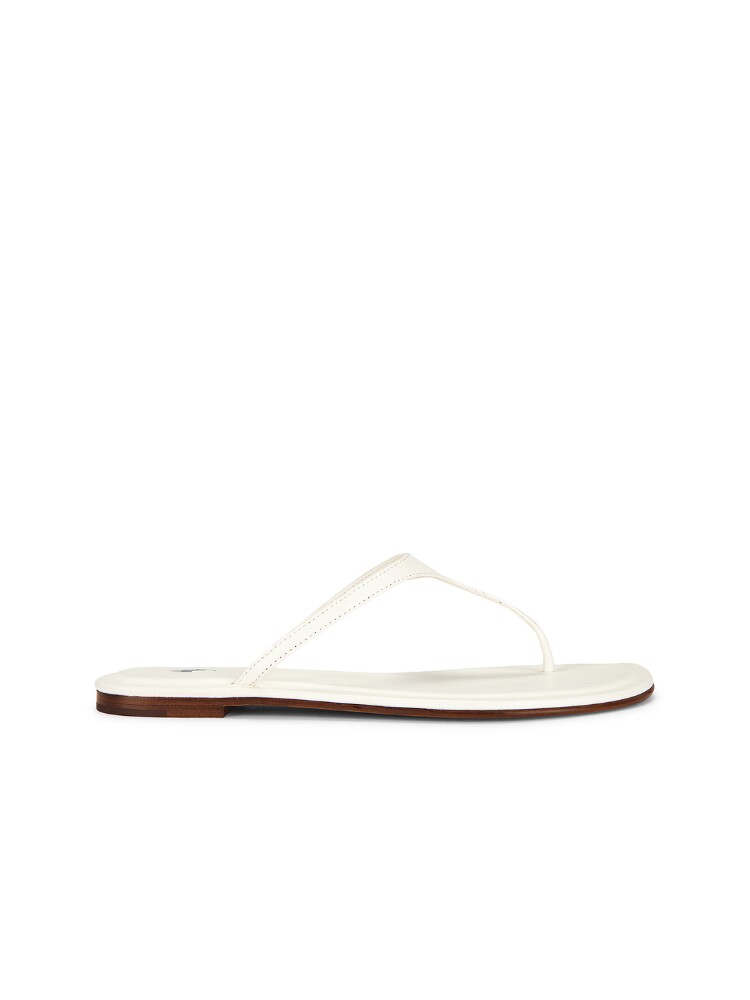 Polo Ralph Lauren Nappa Thong Flat Sandals revolve小众新款