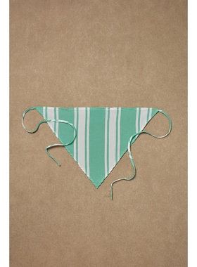 Rowen Rose for FWRD Headscarf 薄荷色REVOLVE小众新款