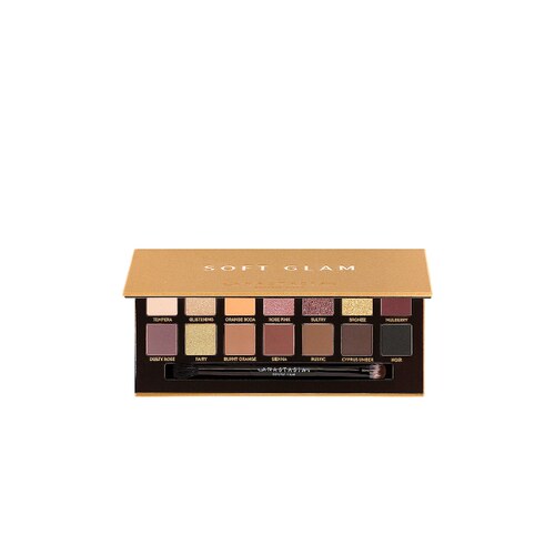 Anastasia Beverly Hills 眼影盘14色哑光亮片显色REVOLVE新款