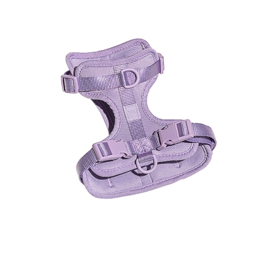 Wild One WILD ONE SMALL HARNESS 搭扣 26春夏新品 revolve小众