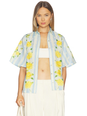 Verandah BLOOMING ROSES 上装 revolve小众新款 Baby Blue,Yello
