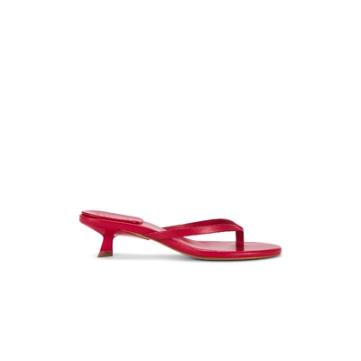 Schutz CAROLYN 凉鞋 26夏季新品 revolve小众新款