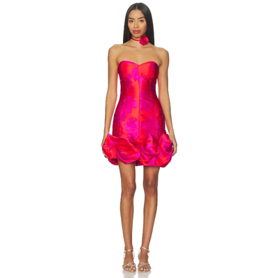 ELLIATT ELOISE 连衣裙 粉色REVOLVE小众新款