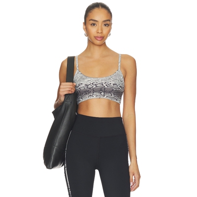 STRUT-THIS THE CHER 运动胸罩 26春夏新品 revolve小众新款