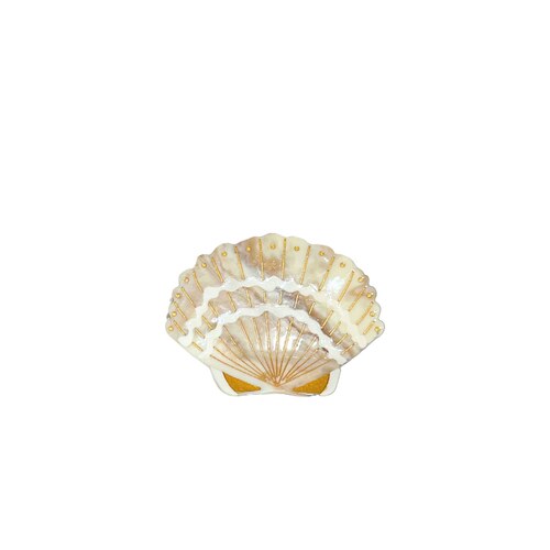 Solar Eclipse SEASHELL 多巴胺手绘头发发夹REVOLVE