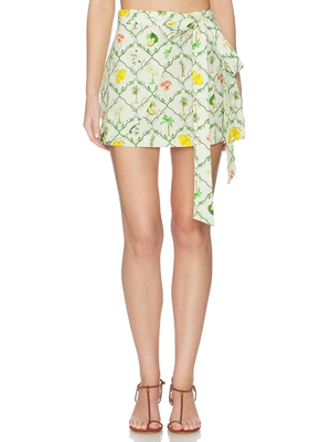 Verandah SKIRT 半身裙 revolve小众新款 Mint,Green