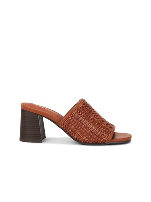 Seychelles ADAPT 3 凉鞋 revolve小众新款 棕黄色