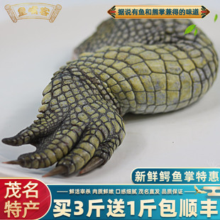 包邮 鳄鱼掌腿肉1斤 生鲜鳄鱼肉养殖暹罗鳄水产新鲜鳄鱼腿爪子顺丰