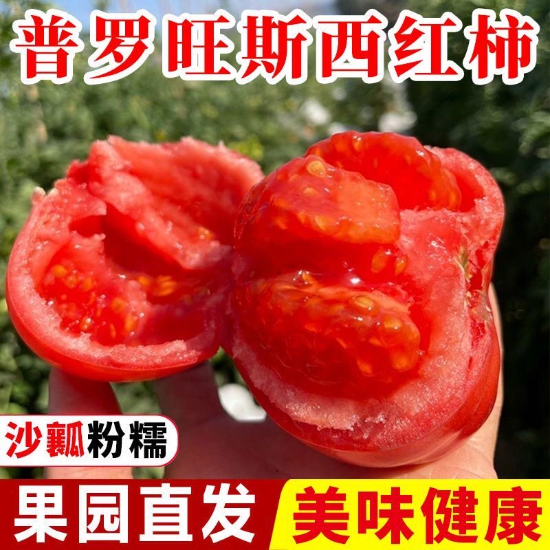 新疆沙瓤西红柿新鲜顺丰包邮整箱