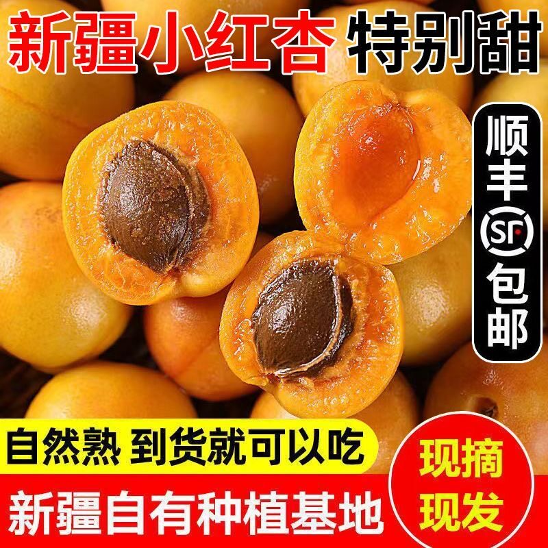正宗新疆阿克苏小红杏新鲜采摘吊干杏应当季水果纯甜杏子顺丰空运