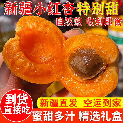新疆阿克苏小红杏吊干杏新鲜杏子