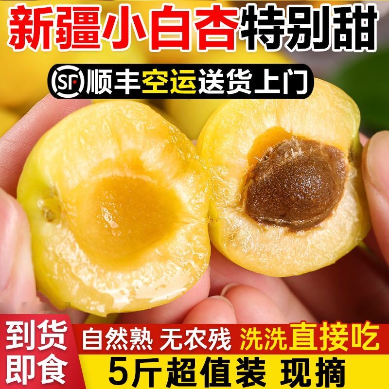 新疆轮台小白杏正宗库车纯甜杏子应当季新鲜水果5斤整箱顺丰空运