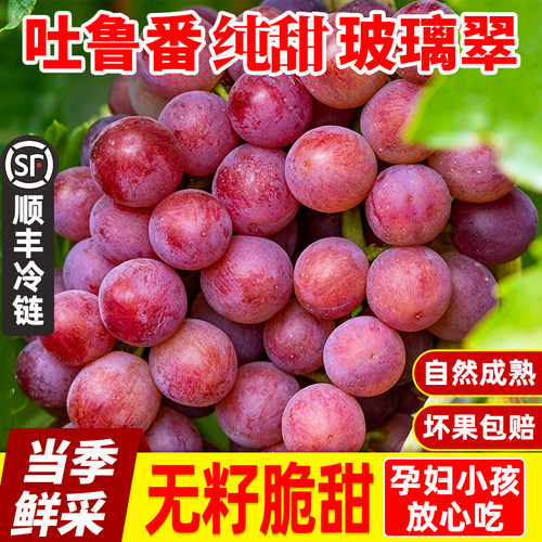 新疆吐鲁番无核无籽玻璃翠顺丰