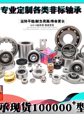 CBS BAQ-0065A 五菱宏光S1 管柱 轴承 外圈高度9 内高度11