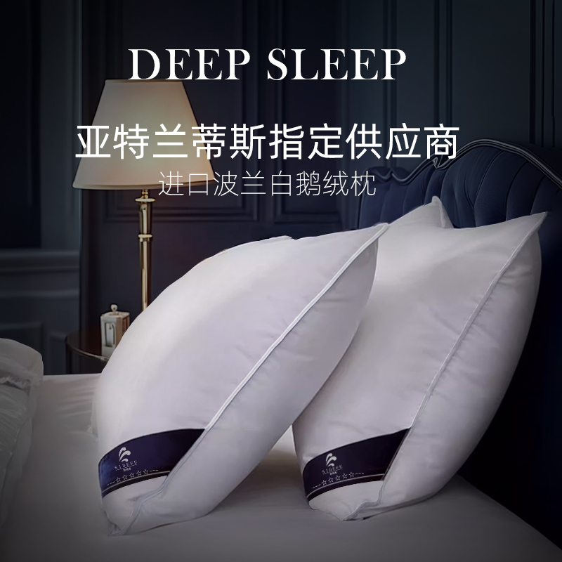 亚特兰蒂斯酒店供应商 海底景观套房升级款