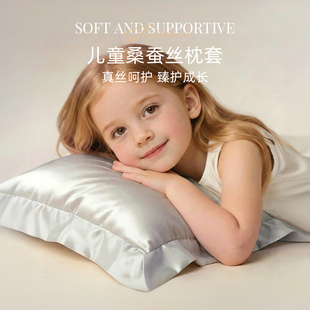 斯得福儿童专用枕套真丝100%桑蚕丝双面22姆米丝绸枕头套48x74cm