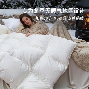 斯得福加厚保暖羽绒被波兰进口95白鹅绒100支纯棉春秋冬被子被芯