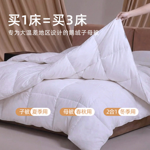 斯得福100s波兰羽绒被95白鹅绒子母被二合一春秋加厚冬被四季通用