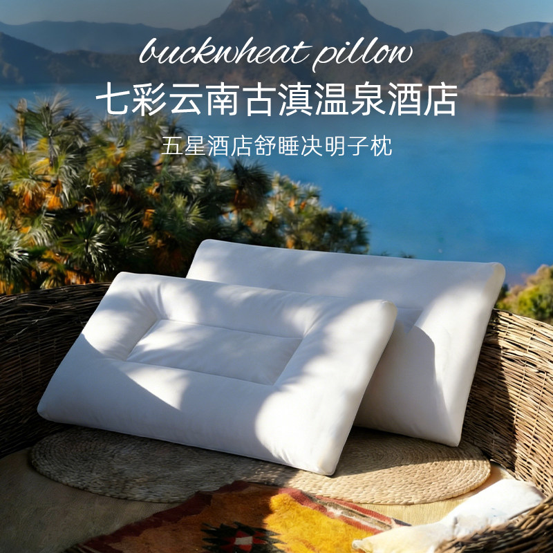 斯得福荞麦决明子枕芯颈椎病专用的颈部支撑枕头成人护颈安睡枕