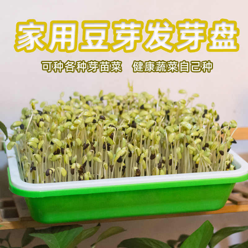豆芽发芽盆种植水培芽苗蔬菜家用泡发黄绿黑豆苗神器专用生豆苗盘