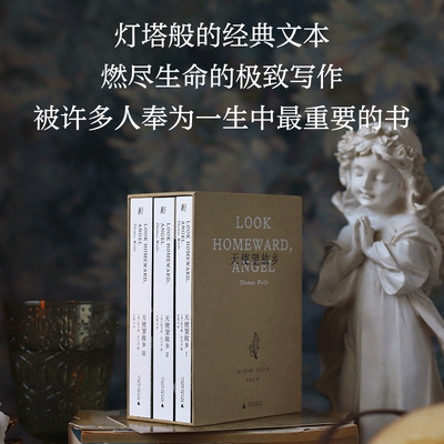 天使望故乡-函盒典藏文库本  天才作家以生命激情写就的成长史诗 托马斯沃尔夫著 宋碧云译本