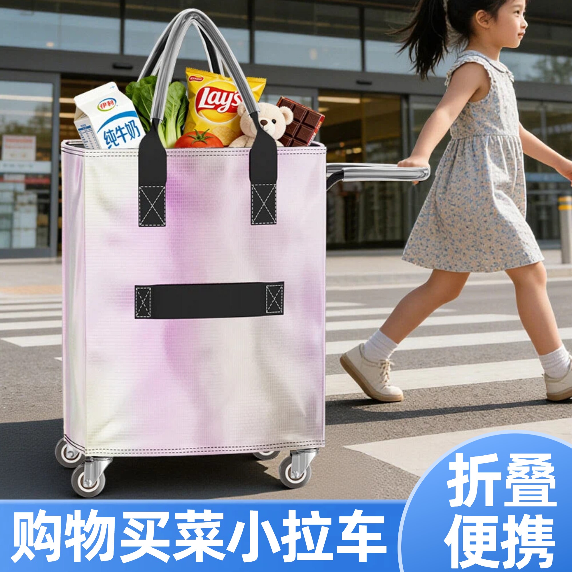 年轻人买菜小拉车袋便携可折叠家用新款专用购物车结实耐用浩肯包